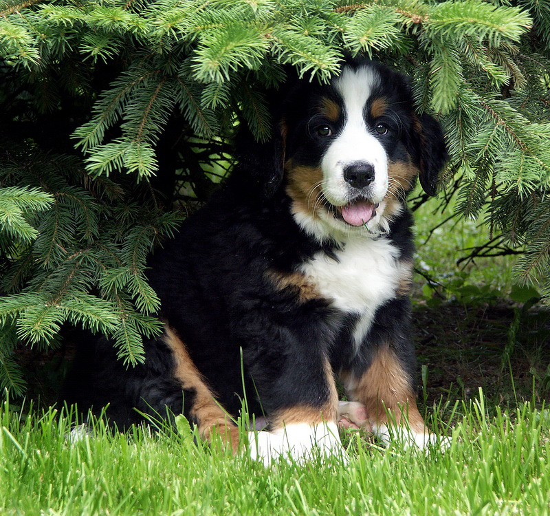 Anton PICT1656 (5)_Bildgröße ändern.jpg